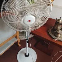 پنکه