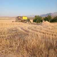 فروش کاه گندم