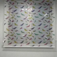 پرده دو مکانیزه