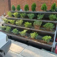 خدمات باغبانی گل کاری هرس کاری تعویض خاک گلدان|خدمات باغبانی و درختکاری|تهران, گیشا|دیوار