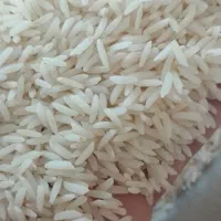 فروش برنج هاشمی محصول شخصی