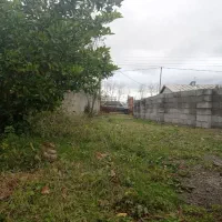 ۳۰۰ متر زمین مسکونی زیر قیمت|فروش زمین و ملک کلنگی|رضوانشهر, |دیوار