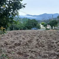 زمین صدرصد مسکونی در رانکو املش