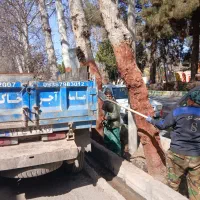 حمل بار نیسان کمپرسی