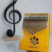 کالیمبا  و ملودیکا و فلوت حرفه ای (نو)|پیانو، کیبورد، آکاردئون|گرگان, |دیوار