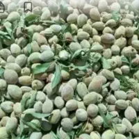 بادام  درختی پوست کاغذی