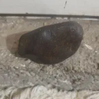 شهاب‌سنگ‌|کلکسیون اشیاء عتیقه|طرقبه, |دیوار