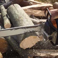 خدمات چوب بری و قطع درختان