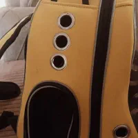 کیف حمل حیوانات