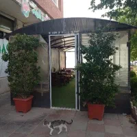 گلخانه