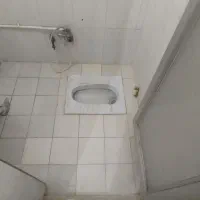 رهن و اجاره سوییت|اجارهٔ خانه و ویلا|شیراز, کوشک میدان|دیوار