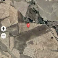 زمین زراعی 8000متر|فروش دفتر صنعتی، کشاورزی، تجاری|خلخال, |دیوار