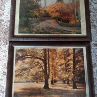 تعدادی تابلو ویک بوم سفید اماده باقیمت مناسب|تابلو، نقاشی، عکس|بندر انزلی, شیلات|دیوار