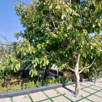 400-متر-ویلا-مدرن-سرسبز-سنقرآباد-سهیلیه