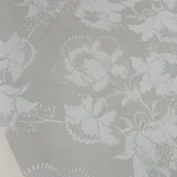 آلبوم باطله