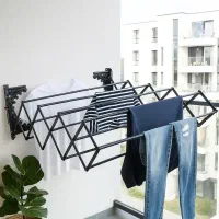 رخت آویز دیواری|بندرخت و رخت‌آویز|اصفهان, باغ فردوس|دیوار