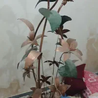 چراغ خواب برقی