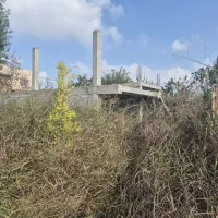 باغ وبلا فروشی|فروش خانه و ویلا|هادی شهر, |دیوار