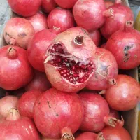 انار قرمز شیرین صادراتی