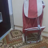 کیف خرید و اسکیت