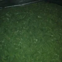 فروش سبزی خشک