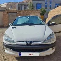 206 sd