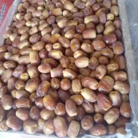 قصب خرمای خشک، خرمای هلیله ای درجه یک|حراج|شیراز, شاپورجان|دیوار