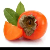 خرمالو قصردشتی