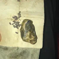 مهره سلطانی موکلدار