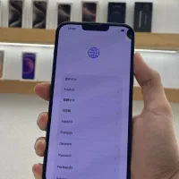 13 Promax|موبایل|اصفهان, باغ زرشک|دیوار