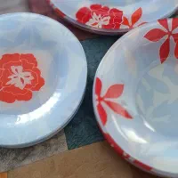 ماگ و ظروف ارکوپال