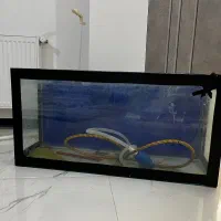 آکواریوم با یکم از وسایلاش