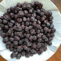 آلبالو گیلاسی خشک سوپر ویژه اعلاء|خوردنی و آشامیدنی|تهران, شهرک آزادی|دیوار