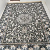 نو نو نو|فرش|شاهرود, |دیوار