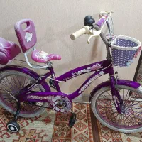 دوچرخه ۲۰ بنفش