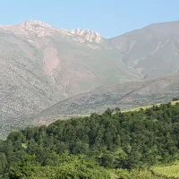 پذیرش مهندسین محترم