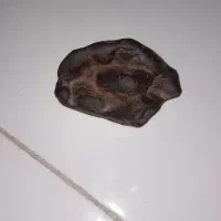 شهاب سنگ