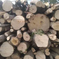 فروش خرید چوب|خدمات باغبانی و درختکاری|گرگان, |دیوار