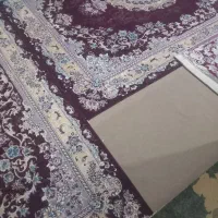 2 عدد قالی و ۱ عدد گلیم|فرش|ایذه, |دیوار