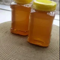 عسل طبیعی اعلا به قیمت عمده
