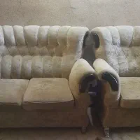 موبل وساعت ایستاده  تمیز و سالم 4500|مبلمان خانگی و میز عسلی|بندرعباس, |دیوار