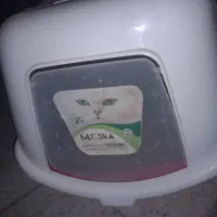 ظرف دستشویی گربه