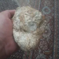 سنگ شبیه سرمار