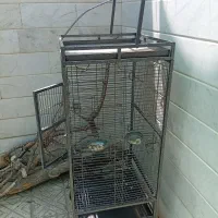 قفس کاسکو آرا طوطی