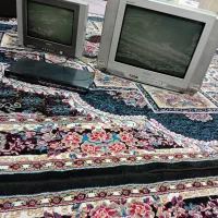 تلوزیون