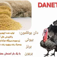 دان،خوراک بوقلمون برنز،بیوتی،بربون