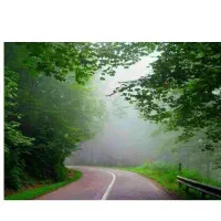 سرایدار  باغ و ویلا هستم