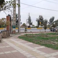 فروش زمین تجاری|فروش زمین و ملک کلنگی|مزرعه کتول, |دیوار