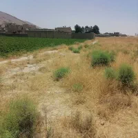 فروش زمین|فروش زمین و ملک کلنگی|شیراز, کفترک|دیوار