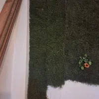 چمن مصنوعی|مصالح و تجهیزات ساختمان|رشت, دیلمان|دیوار